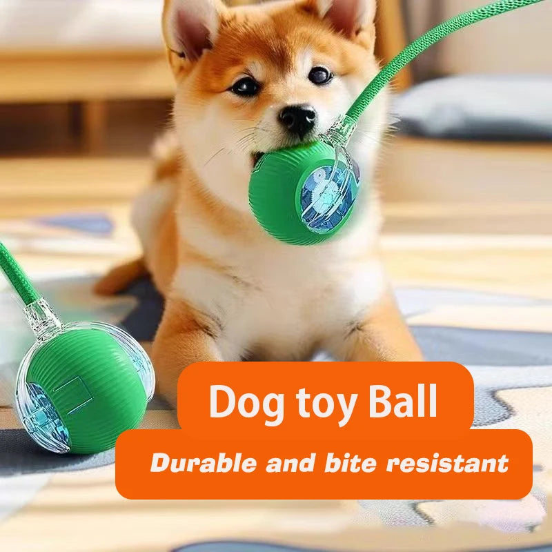 Automatic Rolling Rechargeable Dog Ball Interactive Toy