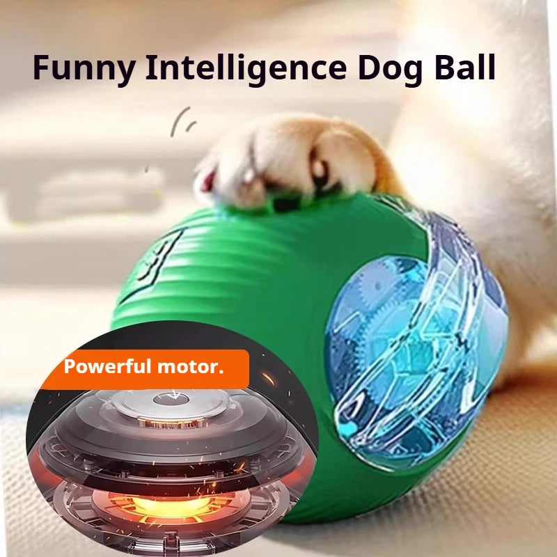 Automatic Rolling Rechargeable Dog Ball Interactive Toy