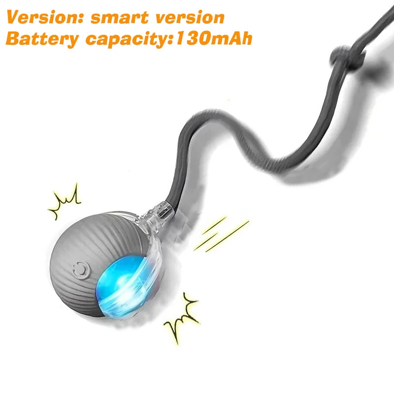 Automatic Rolling Rechargeable Dog Ball Interactive Toy