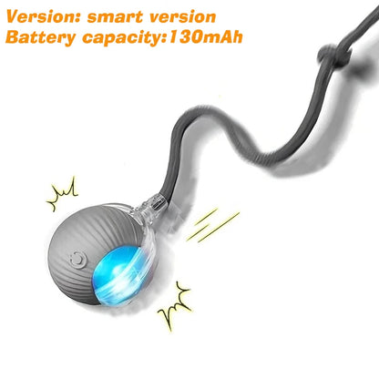 Automatic Rolling Rechargeable Dog Ball Interactive Toy