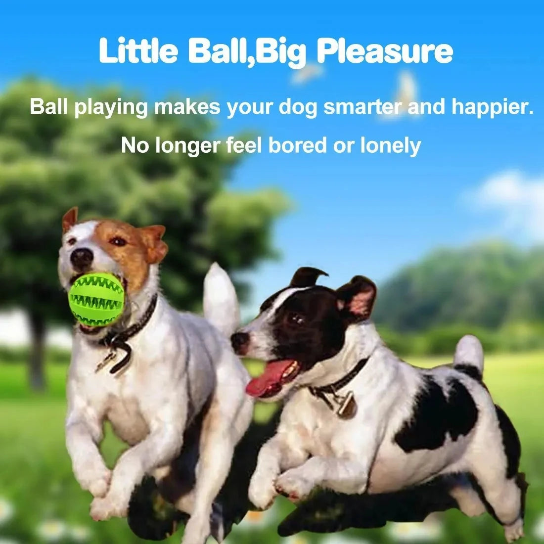 Funny Interactive Elasticity Ball Dog Chew Toy