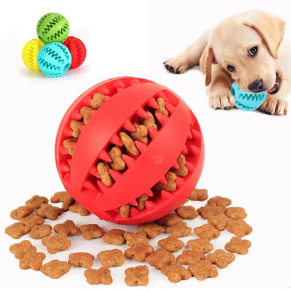 Funny Interactive Elasticity Ball Dog Chew Toy