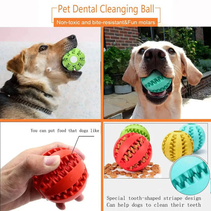 Funny Interactive Elasticity Ball Dog Chew Toy