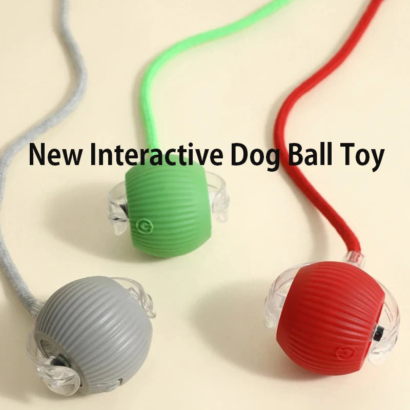 Automatic Rolling Rechargeable Dog Ball Interactive Toy