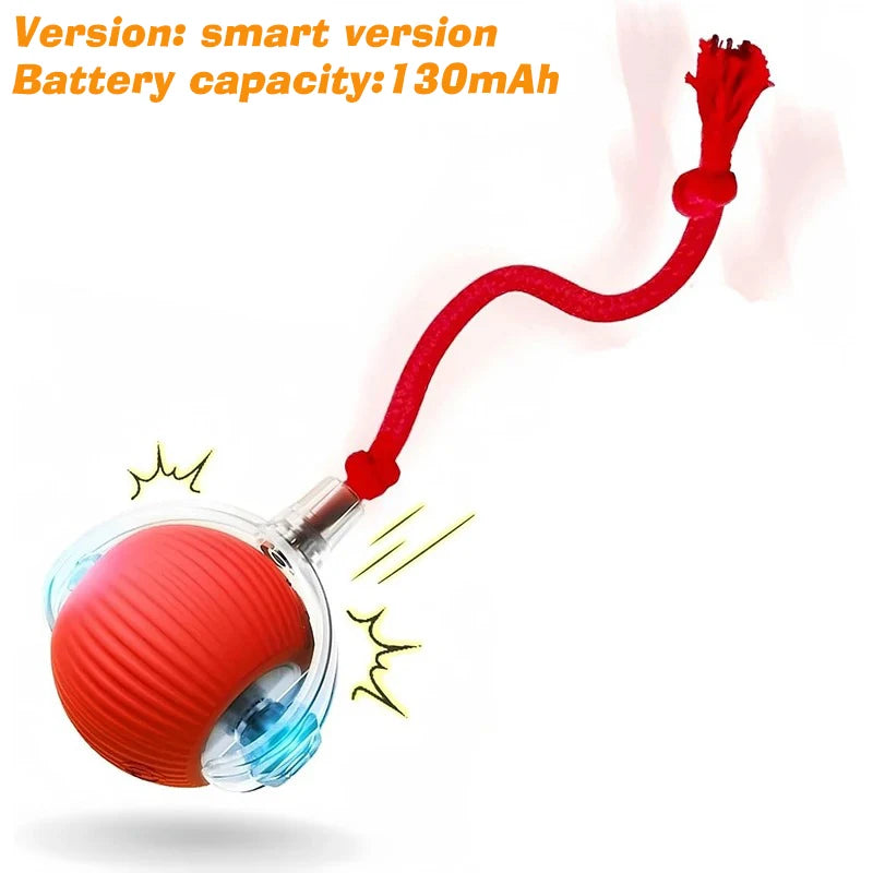 Automatic Rolling Rechargeable Dog Ball Interactive Toy