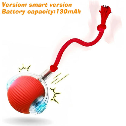 Automatic Rolling Rechargeable Dog Ball Interactive Toy