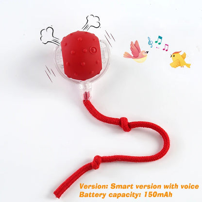 Automatic Rolling Rechargeable Dog Ball Interactive Toy