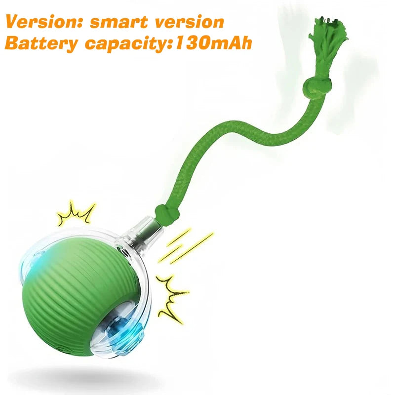 Automatic Rolling Rechargeable Dog Ball Interactive Toy