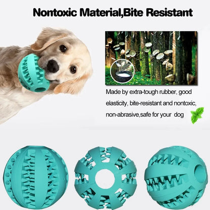 Funny Interactive Elasticity Ball Dog Chew Toy