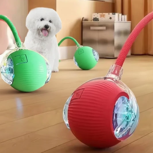 Automatic Rolling Rechargeable Dog Ball Interactive Toy