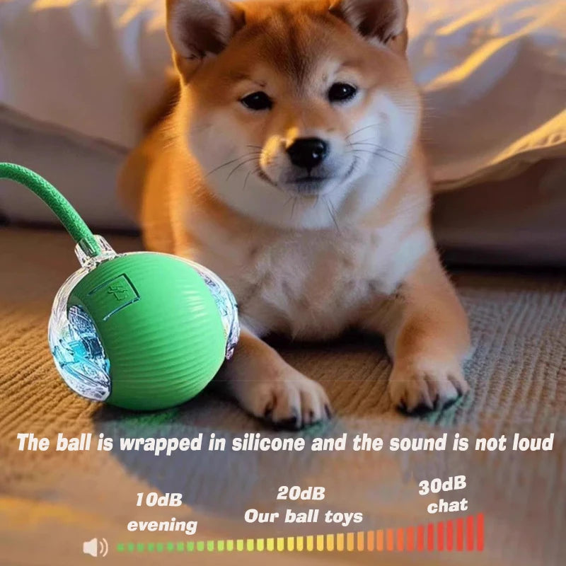 Automatic Rolling Rechargeable Dog Ball Interactive Toy
