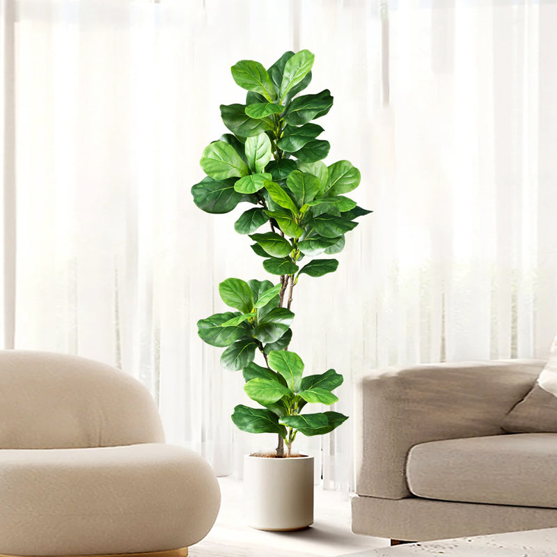 Grace Artificial Fiddle Leaf Fig Decorative Trees